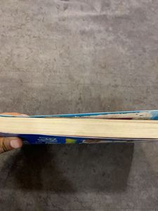 Diary of a Wimpy Kid: The Getaway