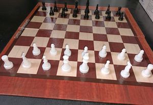 Chess, Backgammon &amp; Draughts Board Games