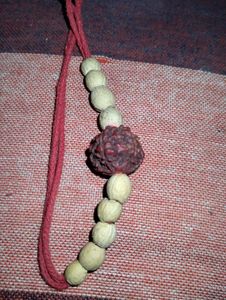 Rudraksha (Panchamukhi)