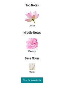 Zara Lightly Bloom Perfume