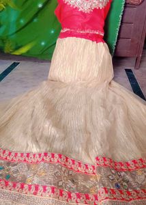 Choli new