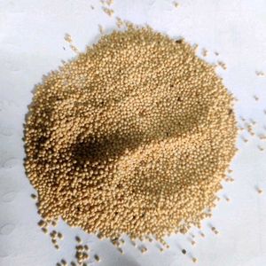 1 Kg Pure Organic Rajgira Seeds Amaranth