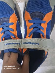 Colorful Sneakers