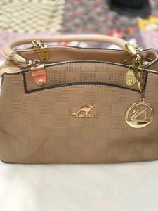 Luxury Handbag