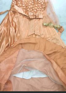 Party Wear Gown.
