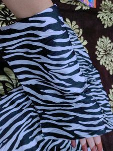 zebra stripe wide leg plazzo