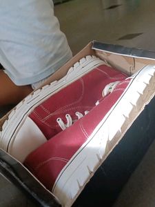 Men Shoe