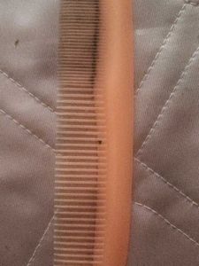 Vintage Peach Comb