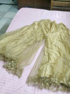 It&#39;s A Very Pretty Golden Net Flaired Bottom .