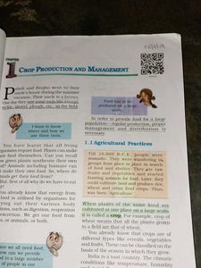 Class 8  Science  Ncert Textbook