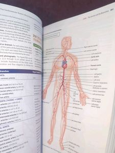 Anatomy and Physiology Textbook