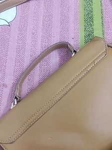 Shades Of Brown BAG- CLASSY