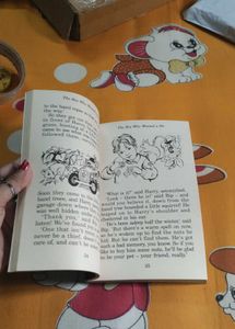 Snicker The Brownie ❤️ Enid Blyton