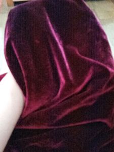 Velvet Pant