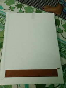 Left Over Last Year Diaries