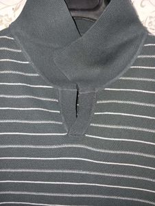 SPAO Self Textured Striped Polo T-Shirt