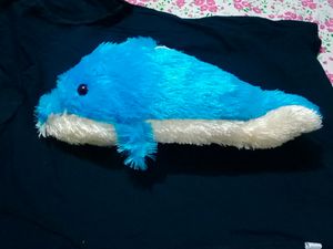 Soft Toy