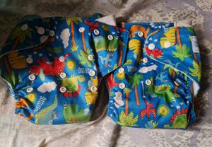 Cloth Diaper