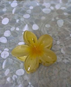 Floral Claw Clips