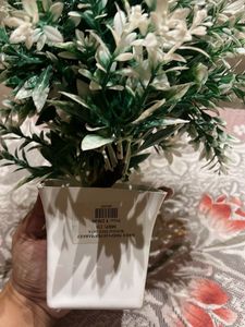 Artificial Plant in White Pot