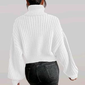 White Turtleneck Knit Sweater