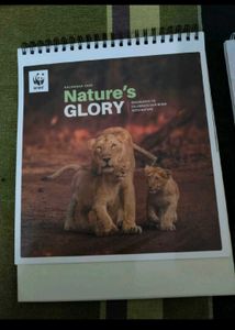 Table Calendar 2025 Total 2