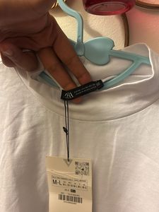 Beautiful Zara Fitted Long Sleeves Top
