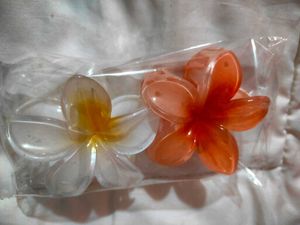 Floral Claw Clip/Clutcher