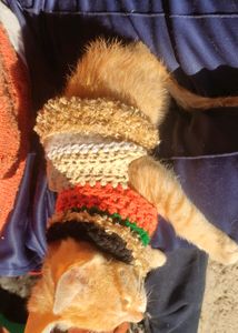 Personalized Handmade crochet sweater for your furry friends🐱🐶