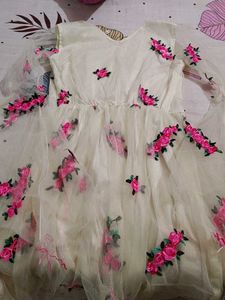 Floral Embroidered Party Dress