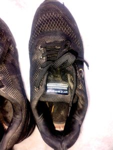 Campus Sneakers Shoes For Men