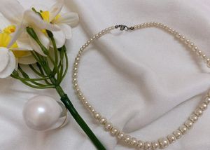 💥Price Drop💥(🎉Freebies☑) Elegant Pearl Necklace