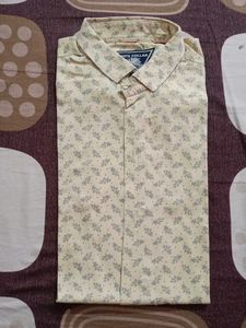 White Collar Casual Shirt