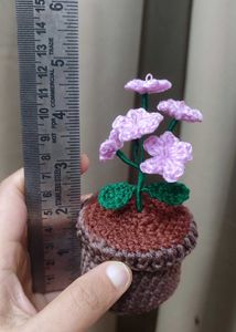 Crochet Flower Pot (Forgot Me Not)