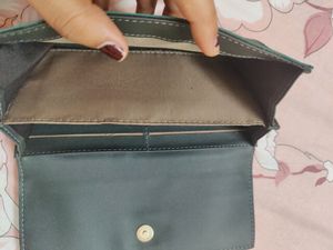 Baggit Wallet Green
