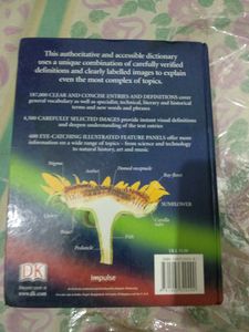 Oxford Big English Dictionary