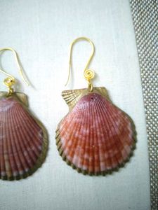 Beautiful Pink Shell Earrings For Women