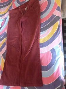 Cotrise Bootcut Short Pants Women