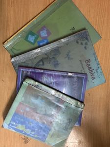 Class 9 English And Hindi Combo