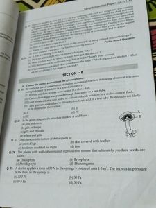 Science Sample Paper Questions