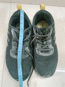 Sport Shoes