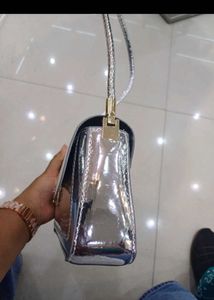 Silver Purse