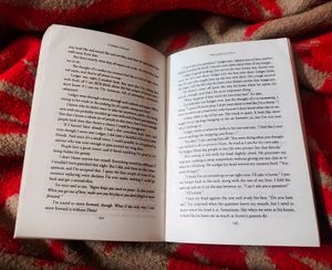 Reminders Of Him By Colleen Hoover