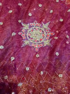 Embroidered Saare