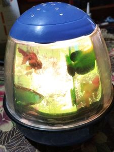 Artificial Aquarium With Light
