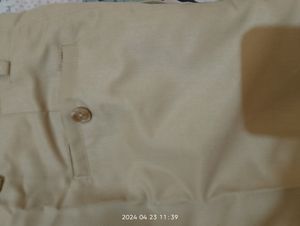 Formal Beige Colour Pant