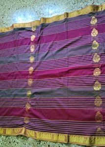 Golden Jari Work Saree