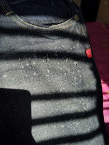 Low Waist Jeans