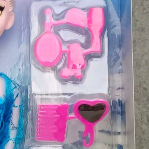 Character Doll With Accessories
