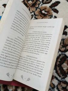 Harry Potter Companion Books